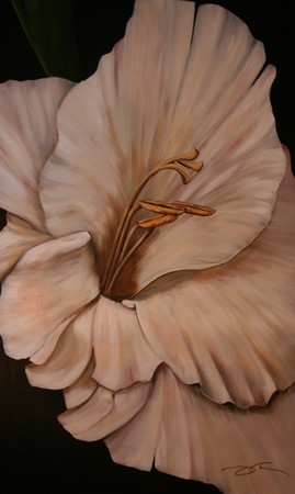 60"X36"