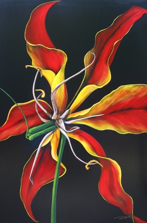 72"X48"