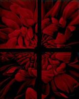 C03-006
10 Ft X 8 Ft