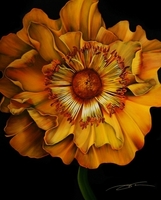 C11-011
60"X48"
$4,500.00