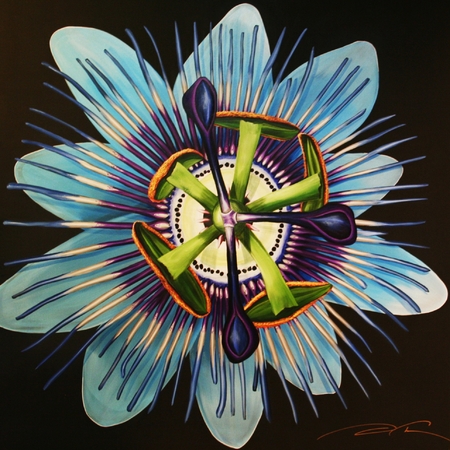 C13-001
54X54
Canvas
Passion Flower