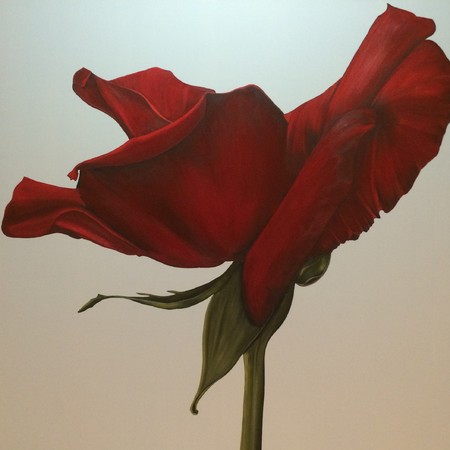 C14-003 
48X48