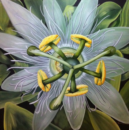C14-001
48"x48"