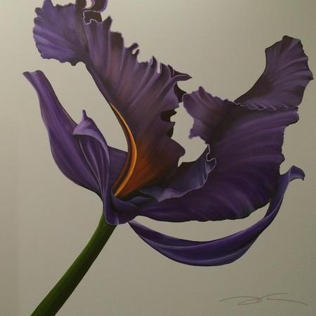 C15-004
48X48
Purple Iris