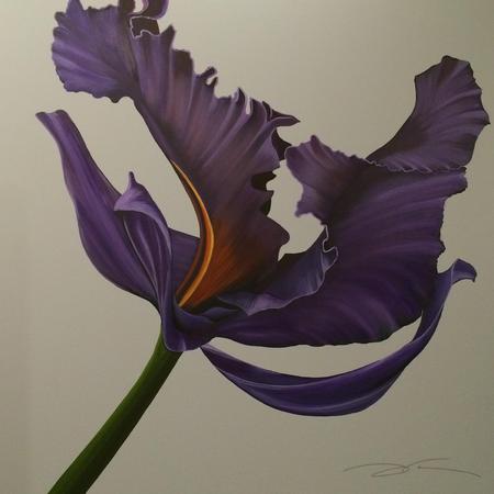 C15-004
48X48
Purple Iris