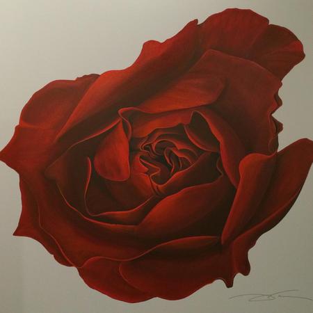 C15-005
48X48
Red Rose