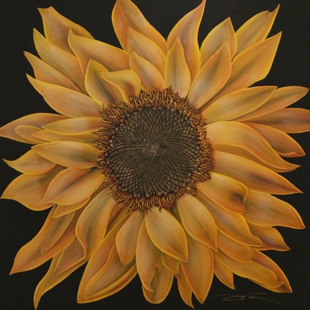 C15-007
48X48
Yellow Sunflower