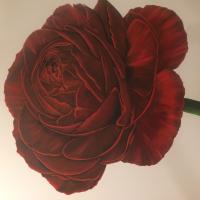 48 inches by 48 inches