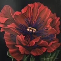 30 inches by 30 inches