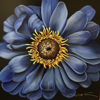 30 inches by 30 inches