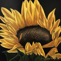 30 inches by 30 inches