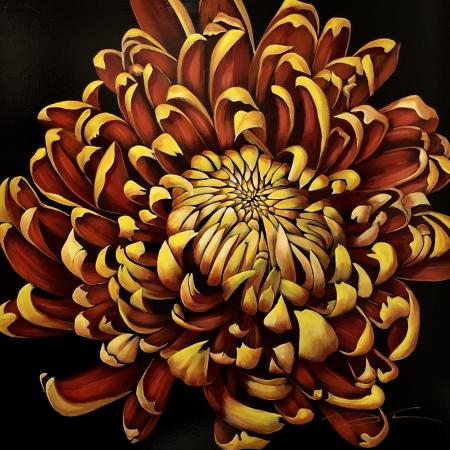 36" x 36" Chrysanthemum