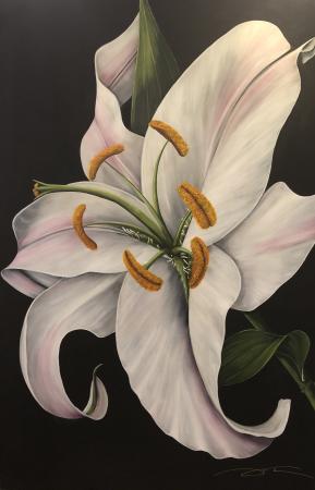 C20-004 69 x 45 Casablanca Lily.jpg