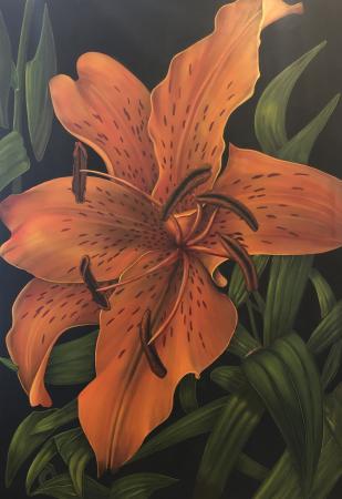 C20-005 75 x 51 Tiger Lily