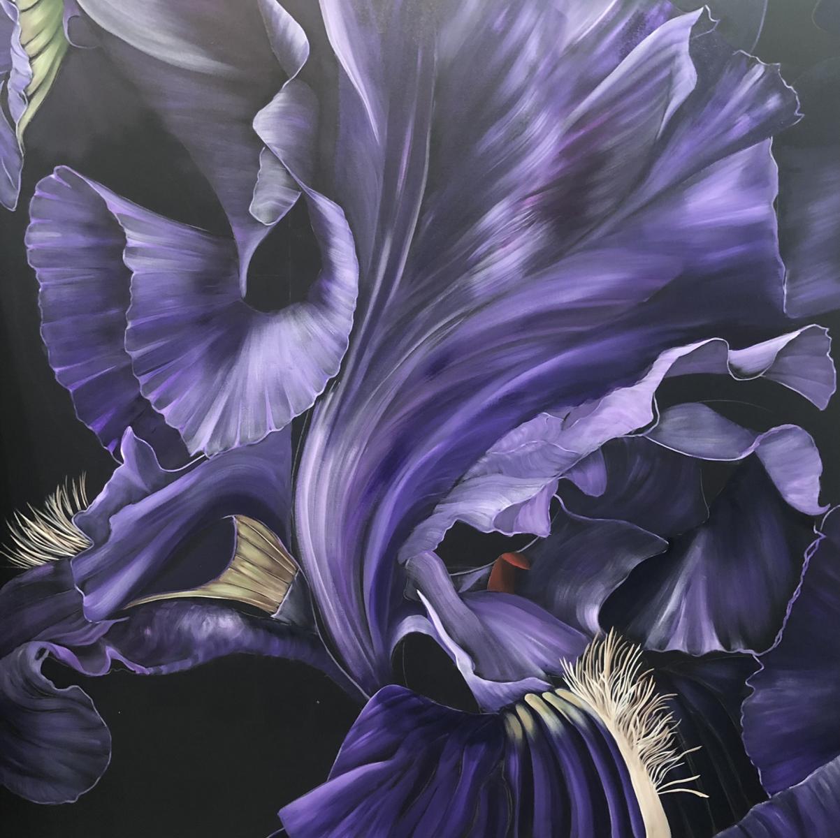 C21-003
60"X60"
IRIS