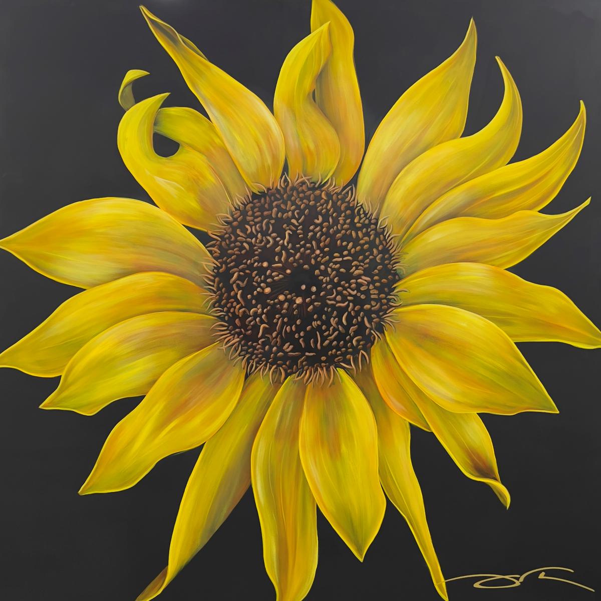 Sunflower
60x60 on Canvas