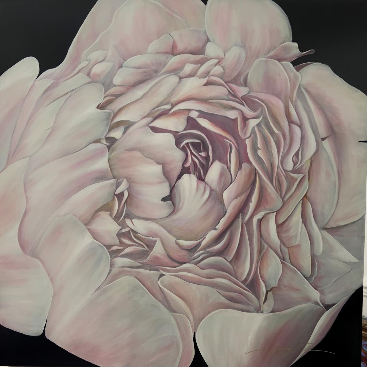 Pink Peony
50x50 on Canvas