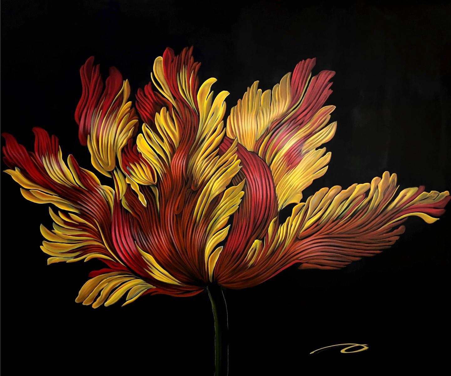 Tulip
60x70