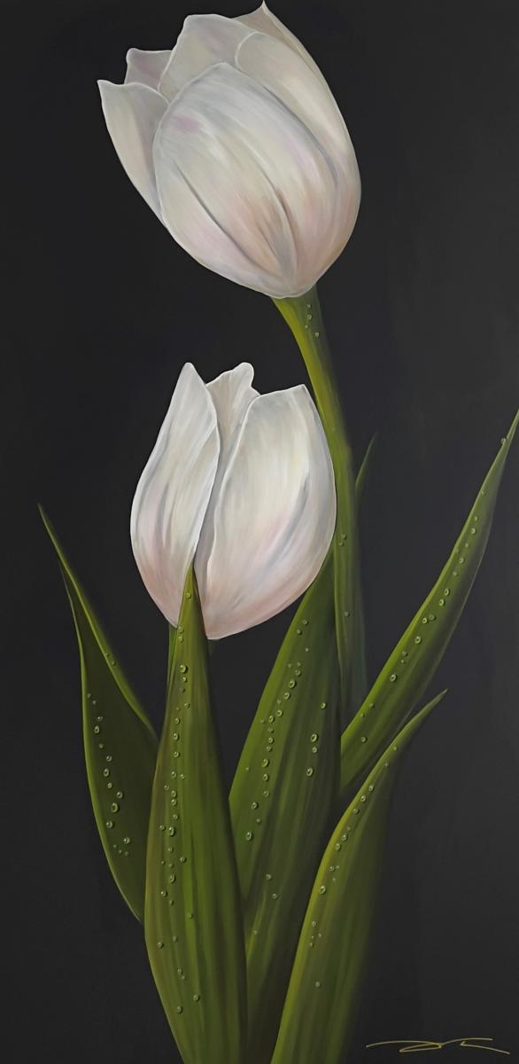 72 x 36 White Tulips