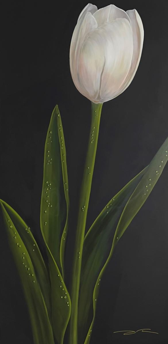 72 x 36 White Tulip