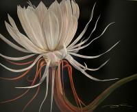 C25-001
48 X 60 Canvas "Night Blooming Cereus"

SOLD Private Collection