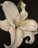 48" x 60"
Acrylic on Canvas

SOLD Private Colletion