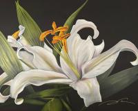 48x60 
White Lily

SOLD Private Collection