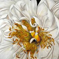 60 x 60 White Peony

SOLD Private Collection