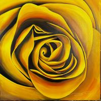 36 x 36 Yellow Rose