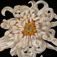 C25-09 60.60 inch White Chrysanthemum

UAMS Orhopaedic and Spine Hosptial