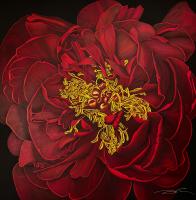 C25-10 60"x60"
Red Peony

UAMS Othopaedic and Spine Hospital
